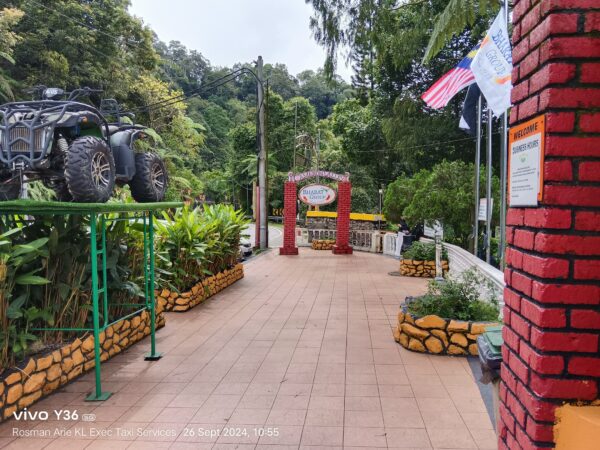 Day Trip to Cameron Highlands from Kuala Lumpur with Private Transport - Image 3