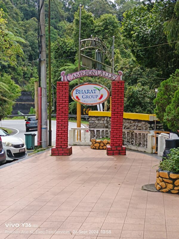 Day Trip to Cameron Highlands from Kuala Lumpur with Private Transport - Image 2