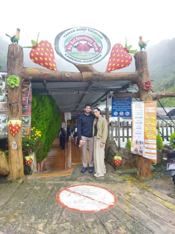 Day Trip to Cameron Highlands from Kuala Lumpur with Private Transport - Image 9