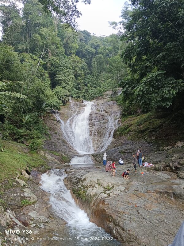 Day Trip to Cameron Highlands from Kuala Lumpur with Private Transport - Image 8