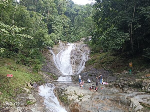 Day Trip to Cameron Highlands from Kuala Lumpur with Private Transport - Image 6